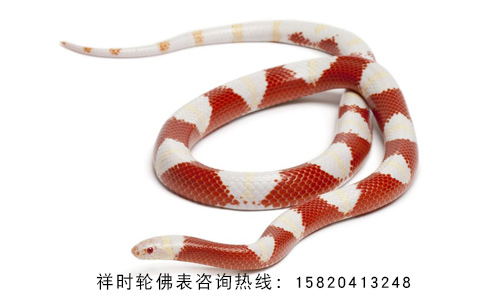 藥師佛心咒佛表